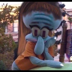 Meet your Posher, Gracie